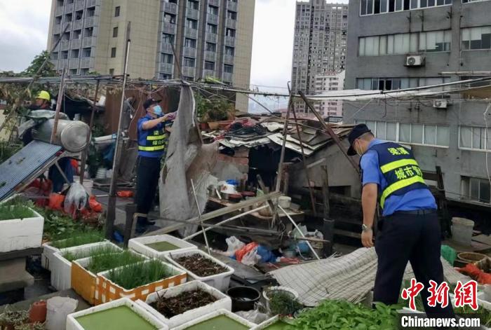 在一處居民樓屋頂，城管隊(duì)員拆除“空中菜園”?！〗疖?攝