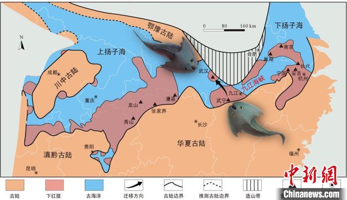 華南地區(qū)志留紀早期古地理圖和盔甲魚類化石產(chǎn)地(山顯任改自陳旭、戎嘉余，1996；戎嘉余等，2012) 中科院古脊椎所 供圖