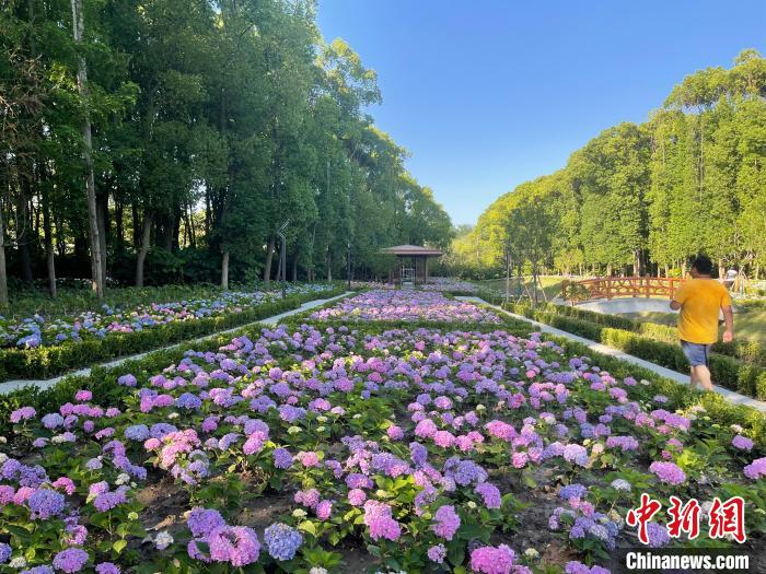 納民意、匯民智上海努力讓“公園城市”建設(shè)真正“合民心”