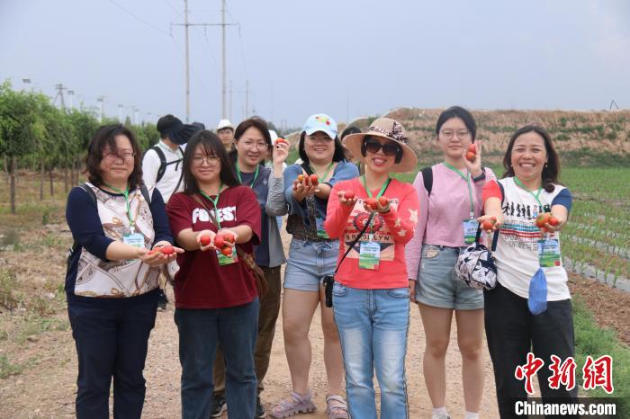 圖為臺胞體驗大美內(nèi)蒙古?！⊥袐I供圖