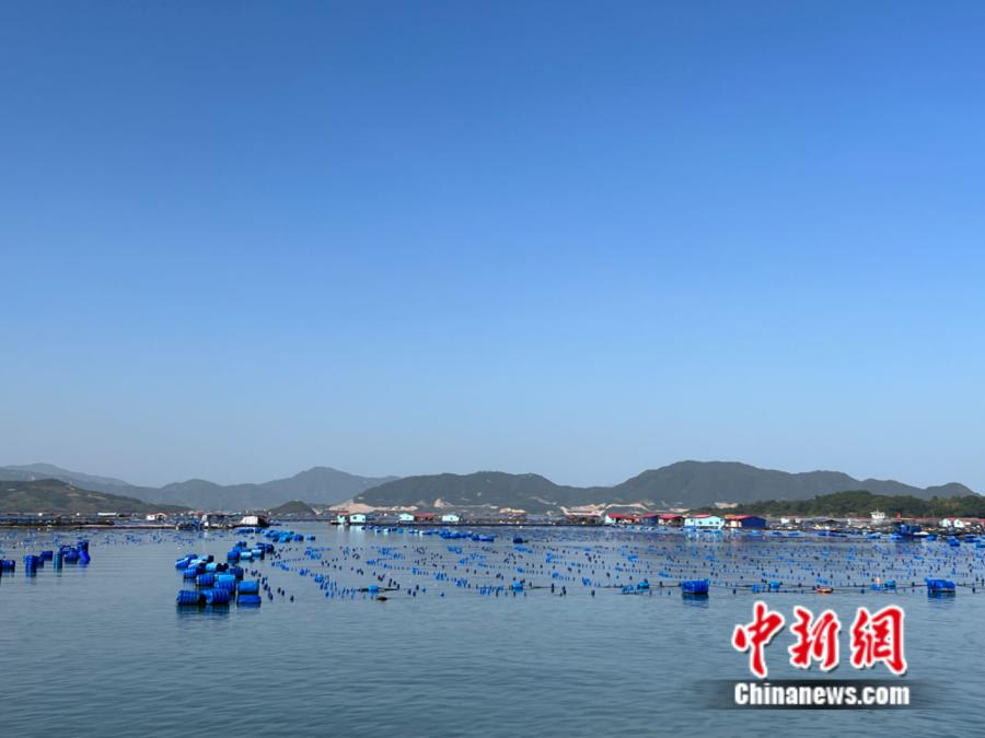 霞浦縣海上魚(yú)排。<a target='_blank' href='/' ><p  align=