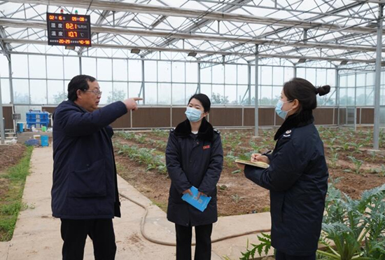 稅務(wù)干部走進常德市西洞庭管理區(qū)的朝鮮薊種植基地，宣傳稅費優(yōu)惠政策，助力農(nóng)企搶農(nóng)時、抓春耕、穩(wěn)增長。吳家豪攝