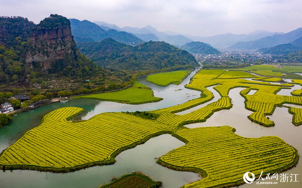 3月28日，航拍浙江省臨海市桃渚鎮(zhèn)桃江十三渚盛開的油菜花景色。人民網(wǎng) 章勇濤攝