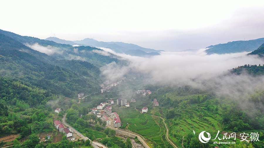 雨后的金寨大灣村，云霧環(huán)繞，宛如一幅田園山水畫(huà)卷。人民網(wǎng) 張俊攝