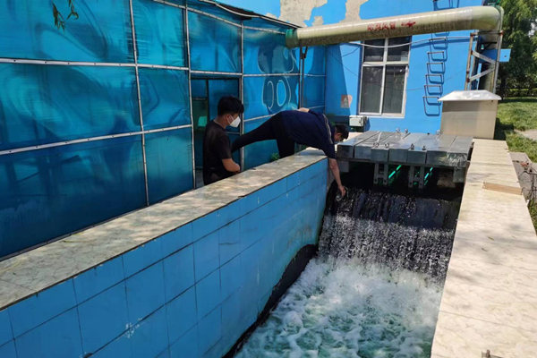 邯鄲市雞澤縣藍(lán)天污水處理廠員工正在出水口進(jìn)行水質(zhì)檢測。鄭佳欣攝