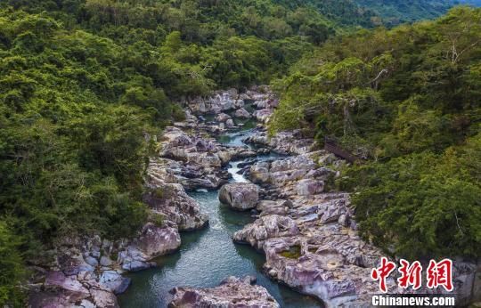 2018年海南生態(tài)環(huán)境狀況等級(jí)為“優(yōu)”，植被覆蓋率高，生物多樣性豐富，生態(tài)系統(tǒng)穩(wěn)定，圖為海南中部熱帶雨林?！●樤骑w　攝