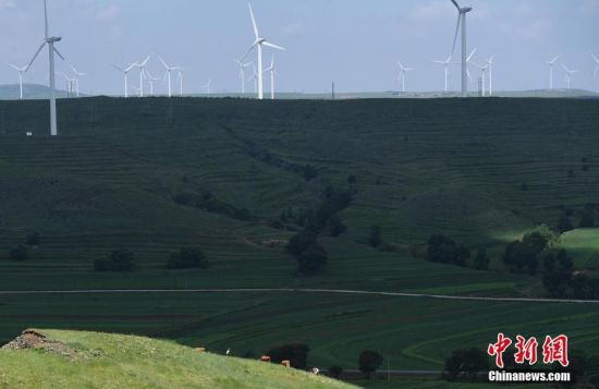 6月28日，河北張家口張北草原上大片風力發(fā)電的“風車”規(guī)模宏大。 中新社記者 楊艷敏 攝