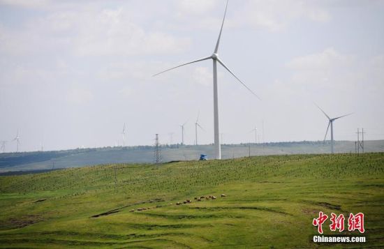 6月28日，河北張家口張北草原上大片風力發(fā)電的“風車”規(guī)模宏大。 中新社記者 楊艷敏 攝