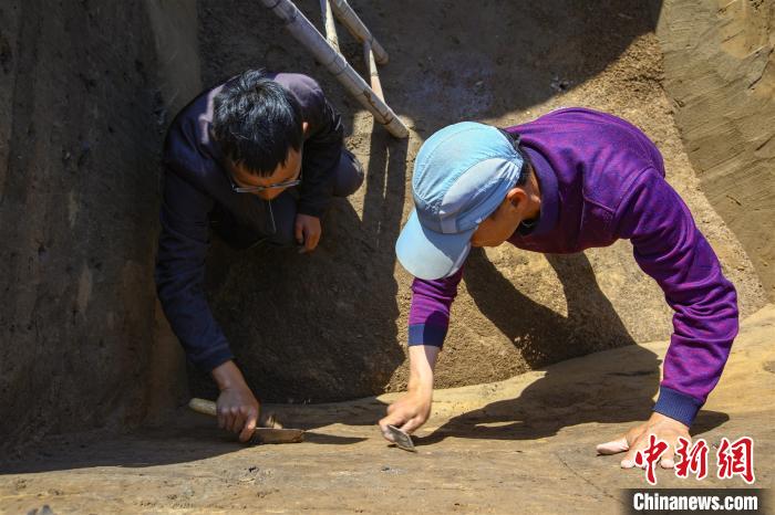 探秘古航道上的大型墓葬群：龍山、唐朝等數(shù)千年文化同步展現(xiàn)