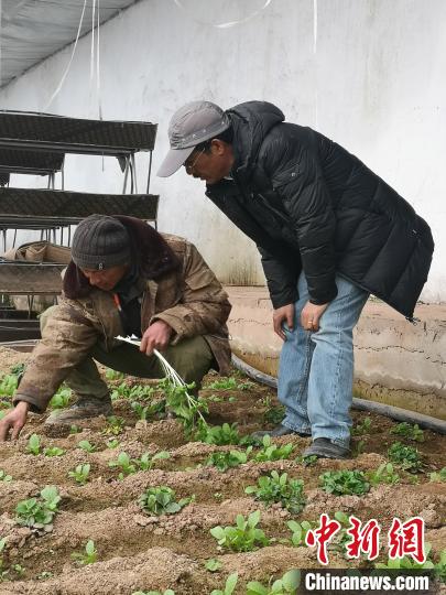 圖為尼瑪扎西(右)與西藏農(nóng)民聊天(資料圖)。西藏農(nóng)科院 供圖