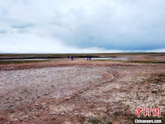 圖為救援力量在青海省西部搜救失聯(lián)的江蘇南京某大學(xué)女生黃某某。海西州藍(lán)天應(yīng)急救援中心 供圖