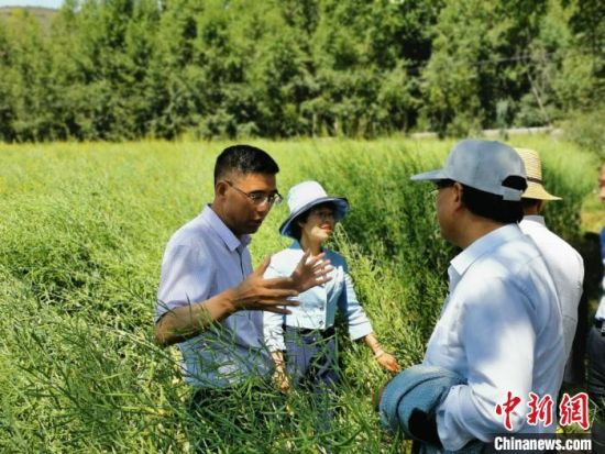 圖為九三學(xué)社青海省委主委杜德志(左一)在基層調(diào)研。受訪者供圖