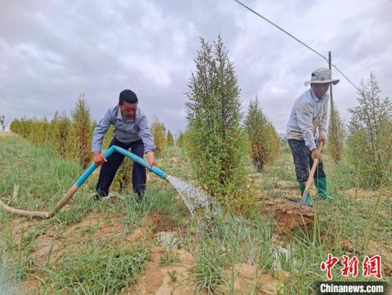 圖為扎西和村民給樹澆水。　祁增蓓　攝