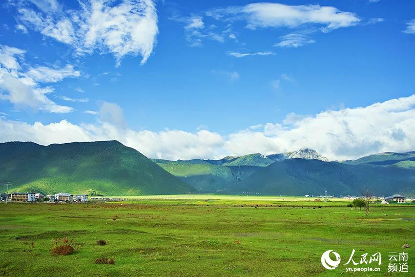 納帕海濕地風(fēng)景。呂昊辰攝