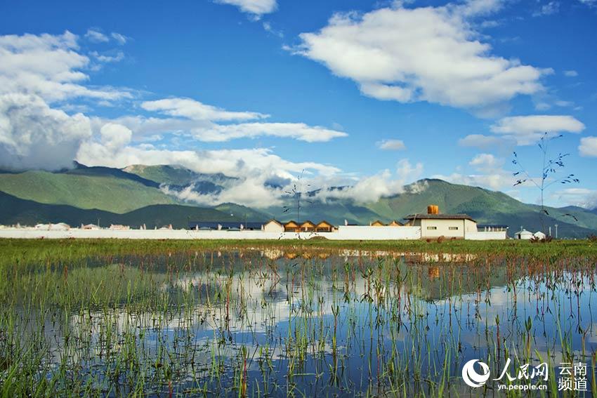 納帕海濕地風(fēng)景。呂昊辰攝