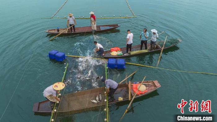 捕魚現(xiàn)場?！≈鬓k方供圖