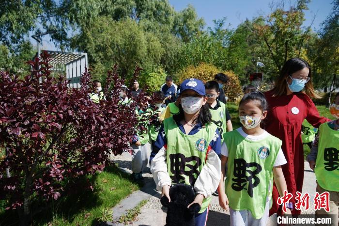 圖為小朋友在青海西寧湟水國家濕地公園內(nèi)認(rèn)識(shí)植物?！●R銘言 攝