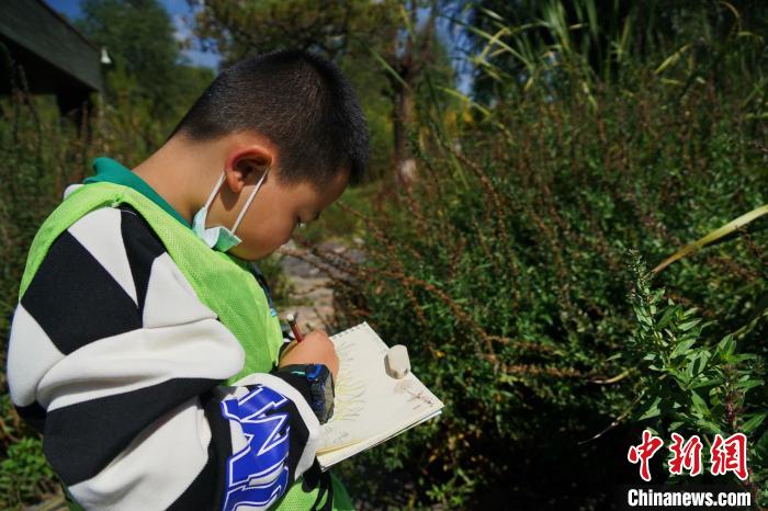 圖為小朋友在青海西寧湟水國家濕地公園內(nèi)認(rèn)識(shí)植物并進(jìn)行繪畫?！●R銘言 攝