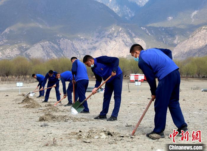 林芝市巴宜區(qū)森林消防中隊志愿服務(wù)隊正在揮鍬鏟土?！∥骼@拉翁 攝