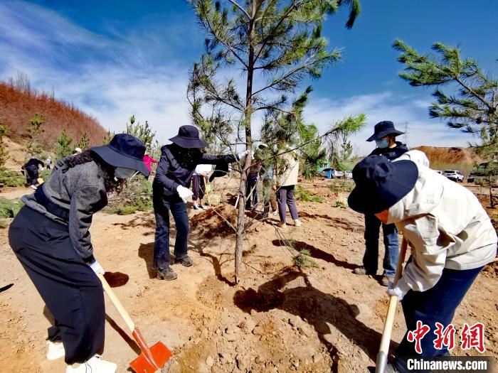 圖為西寧市城東區(qū)干部職工參加義務植樹?！?zhí)砀?攝