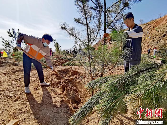 圖為西寧市城東區(qū)義務植樹活動現(xiàn)場?！?zhí)砀?攝