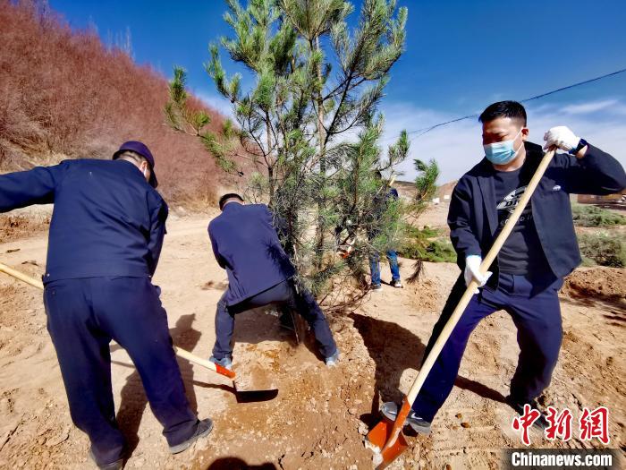 圖為西寧市城東區(qū)義務植樹活動現(xiàn)場。　張?zhí)砀?攝