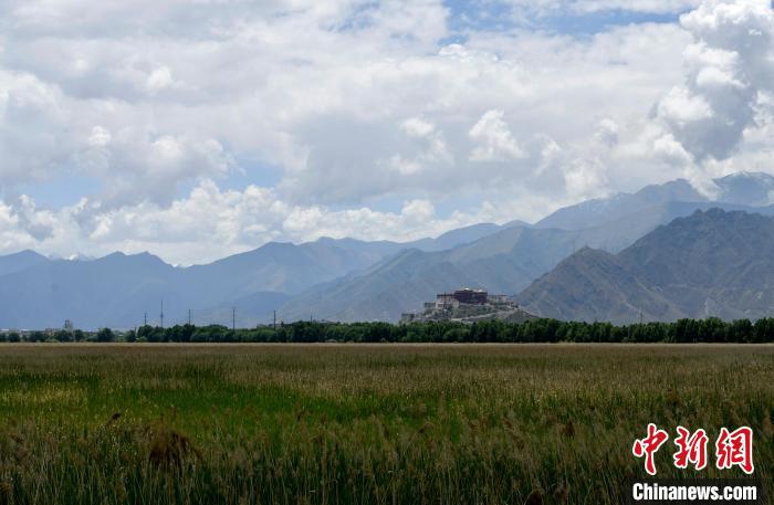 圖為拉薩拉魯濕地。　李林 攝