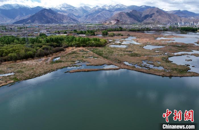 圖為拉薩拉魯濕地。(無人機(jī)照片) 李林 攝