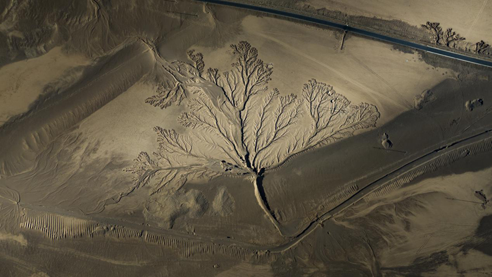 無人機(jī)視角下的西藏阿里地區(qū)改則縣“大地之樹”景觀。尼瑪多吉攝