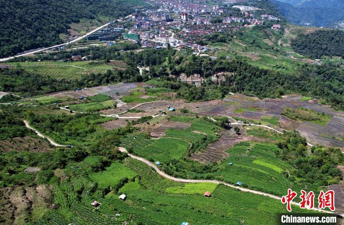 圖為西藏林芝市墨脫縣城附近的茶田。(無(wú)人機(jī)照片) 李林 攝