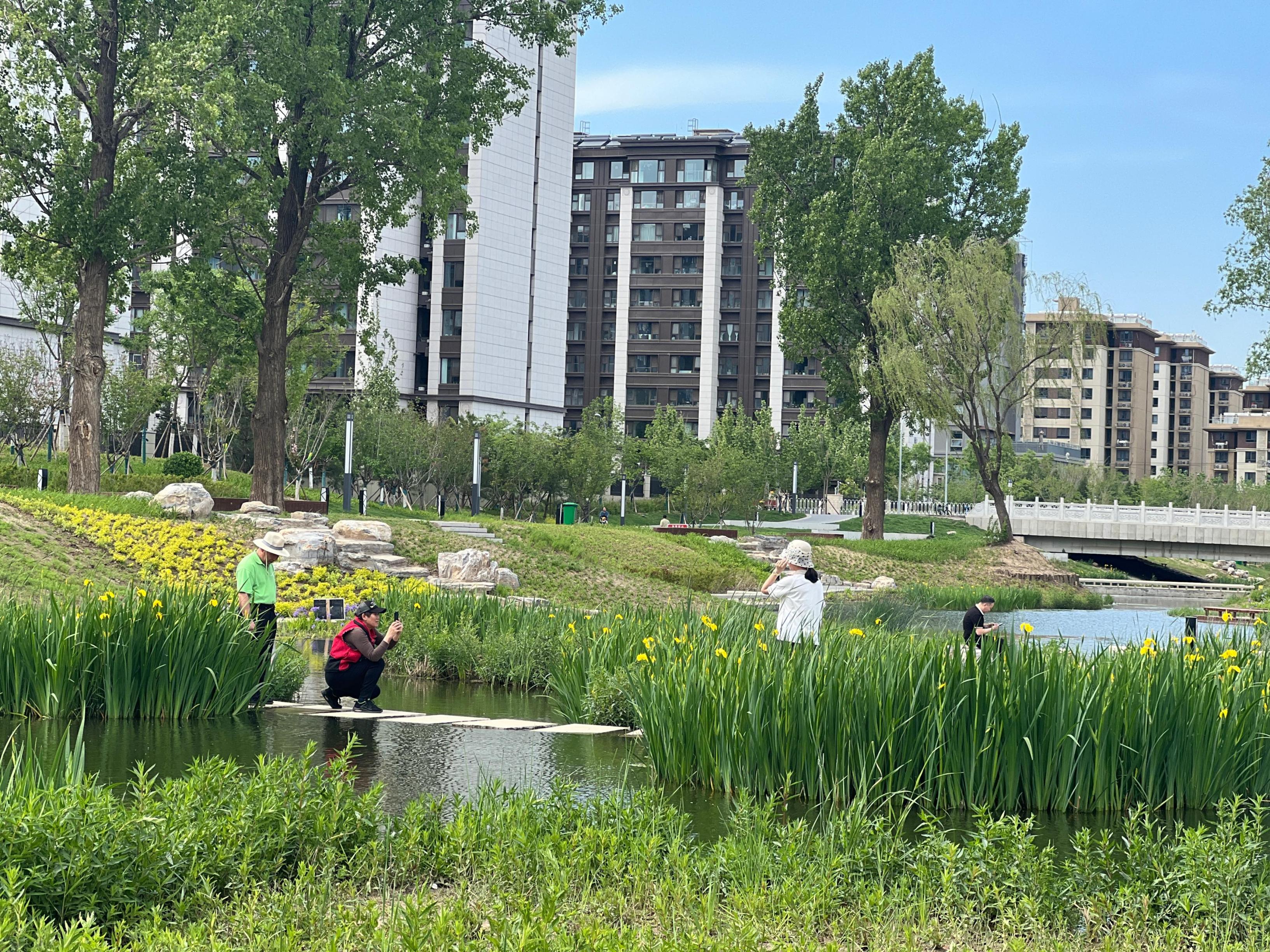 五一渠生態(tài)濱河公園內(nèi)，市民正在拍照留念。人民網(wǎng) 歐陽(yáng)易佳攝