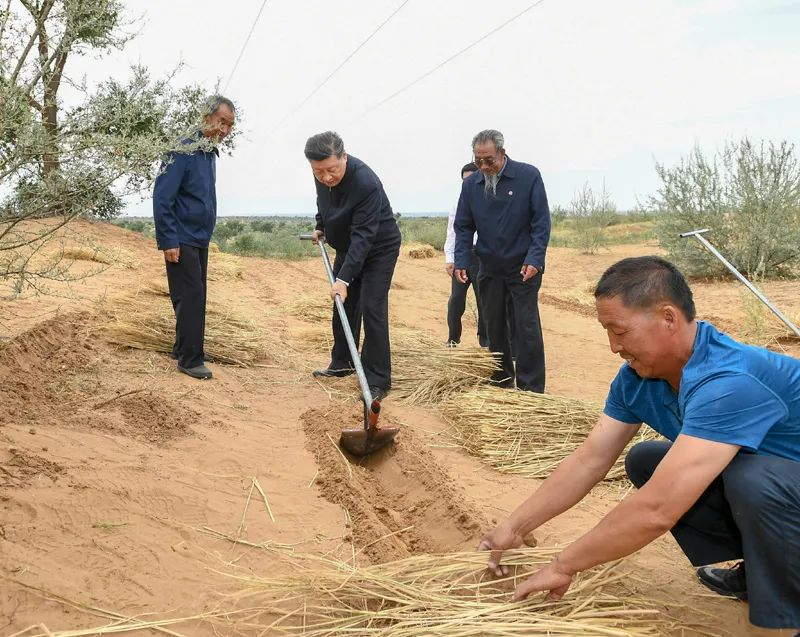 2019年8月21日，習近平來到甘肅省武威市古浪縣八步沙林場，實地察看當?shù)刂紊吃炝?、生態(tài)保護等情況。新華社記者 謝環(huán)馳 攝