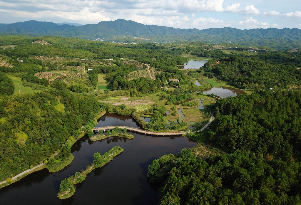 福建省龍巖市長(zhǎng)汀縣的長(zhǎng)汀汀江國(guó)家濕地公園景色（2020年7月28日攝，無(wú)人機(jī)照片）。新華社記者 魏培全 攝