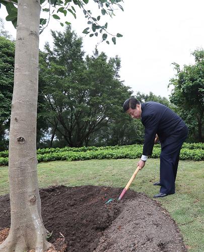 2012年12月7日至11日，習(xí)近平在廣東省考察工作。這是8日上午，習(xí)近平在深圳蓮花山公園種下一棵高山榕樹。新華社記者 蘭紅光 攝