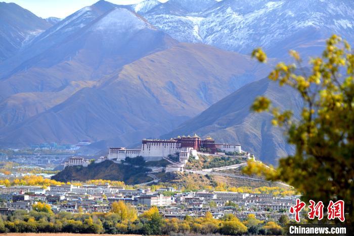 10月24日，雪山、布達(dá)拉宮和秋色組成“風(fēng)景畫”?！〗w波 攝