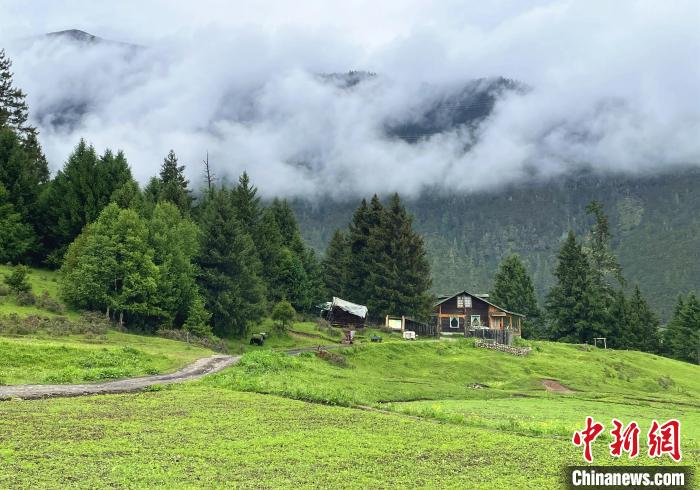 6月10日，魯朗小鎮(zhèn)高山牧場(chǎng)景區(qū)風(fēng)光。　冉文娟 攝