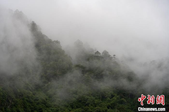 雨后勒布溝的云霧。　江飛波 攝