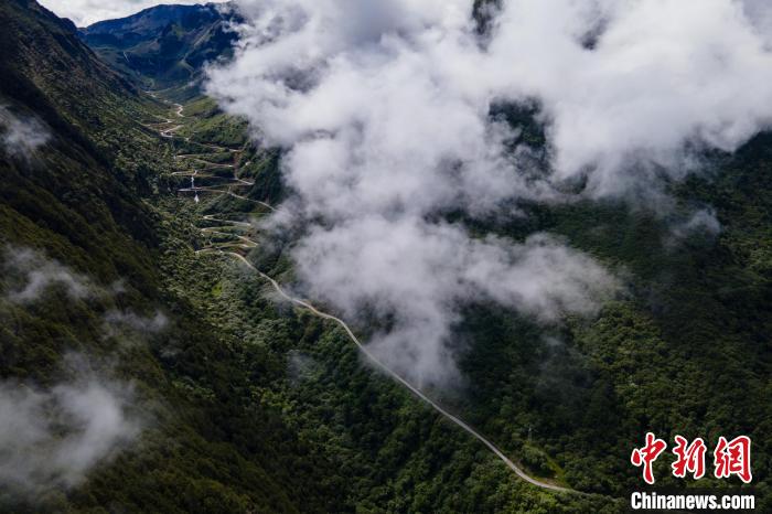 西藏山南勒布溝景區(qū)的盤山公路被云霧環(huán)繞?！〗w波 攝