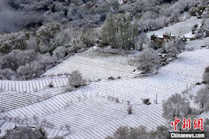 雪后的高山田間如畫?！±钣腊?攝