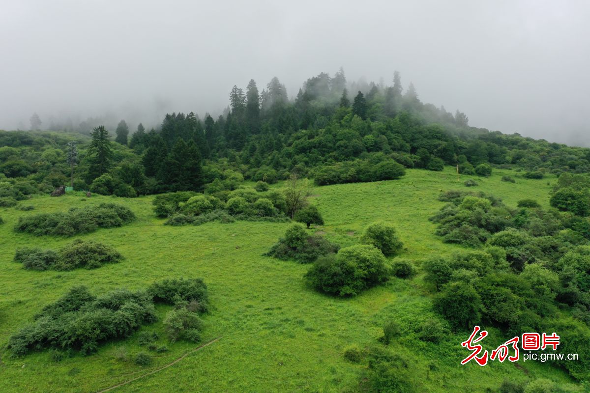 四川九寨溝：生態(tài)旅游漸熱