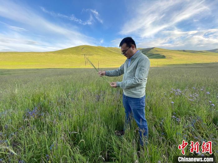 青海達(dá)日“援青縣長(zhǎng)”：雪域高原生態(tài)、民生“并蒂花開(kāi)”