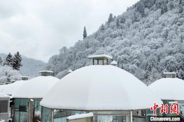 大熊貓國家公園王朗片區(qū)春雪如畫，宛若仙境?！×_春平 攝