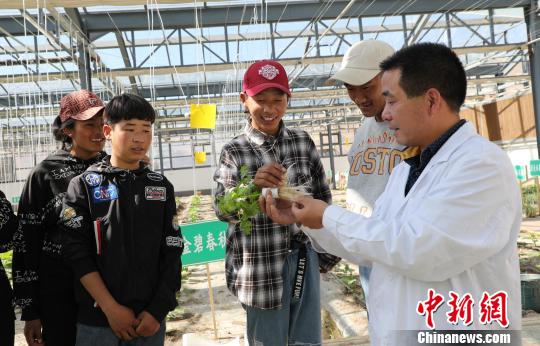 援藏干部彭觀勤：高海拔科技示范園的守護者