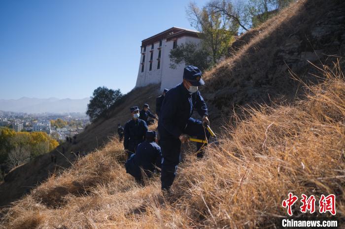 圖為消防員分成5個小隊在除草。　何蓬磊 攝