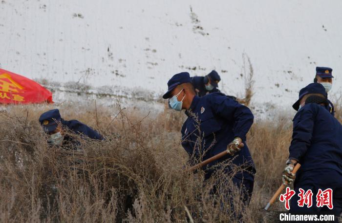 圖為200余名消防員在布達拉宮后山集合除草?！≮w朗 攝