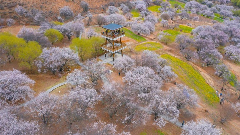 林芝嘎拉村。 張靜攝