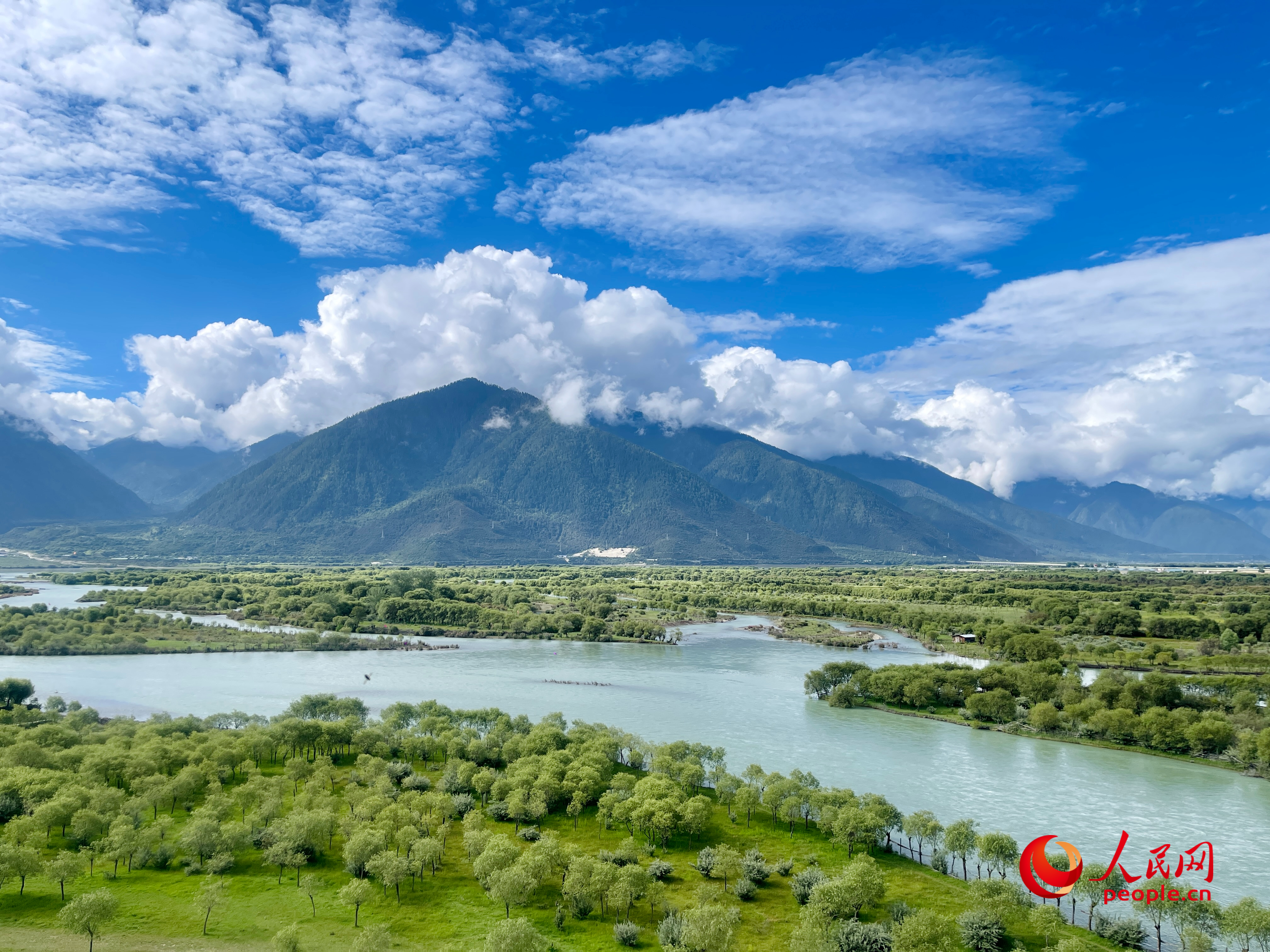 夏日的雅尼國家濕地公園生機盎然，如詩如畫。人民網(wǎng) 周靜圓攝