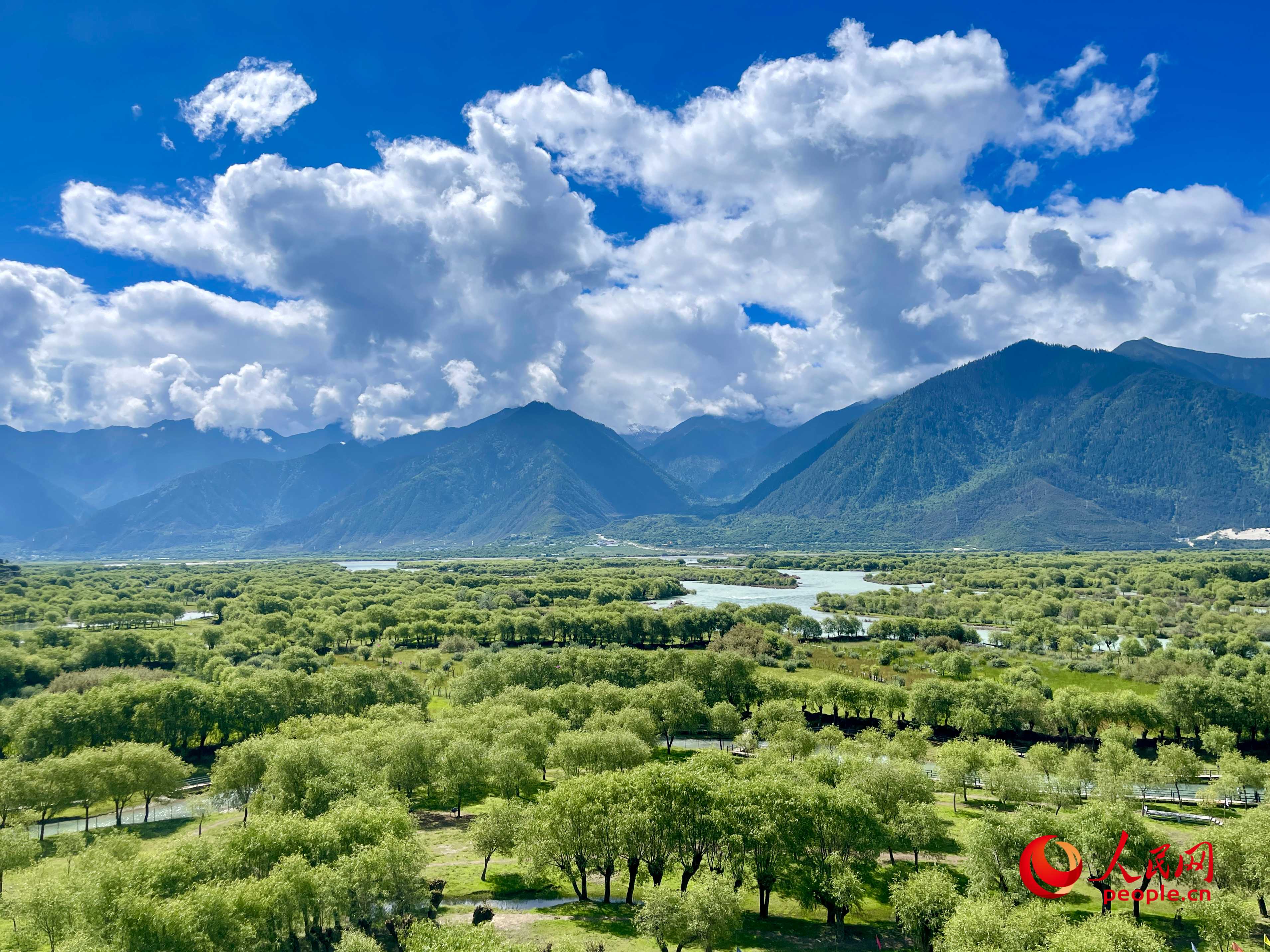 夏日的雅尼國家濕地公園生機(jī)盎然，如詩如畫。人民網(wǎng) 周靜圓攝