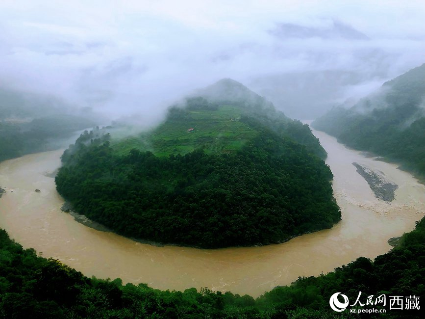 雅魯藏布江大峽谷蛇形拐彎處，山坡上種滿茶樹。