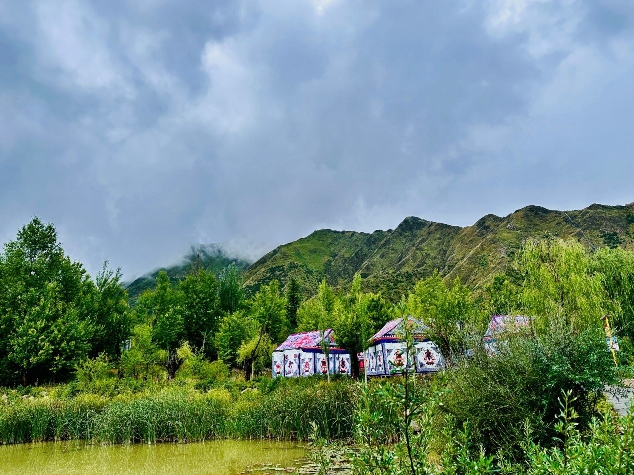 郁郁蔥蔥的南山公園。人民網(wǎng)記者 益西康珠攝